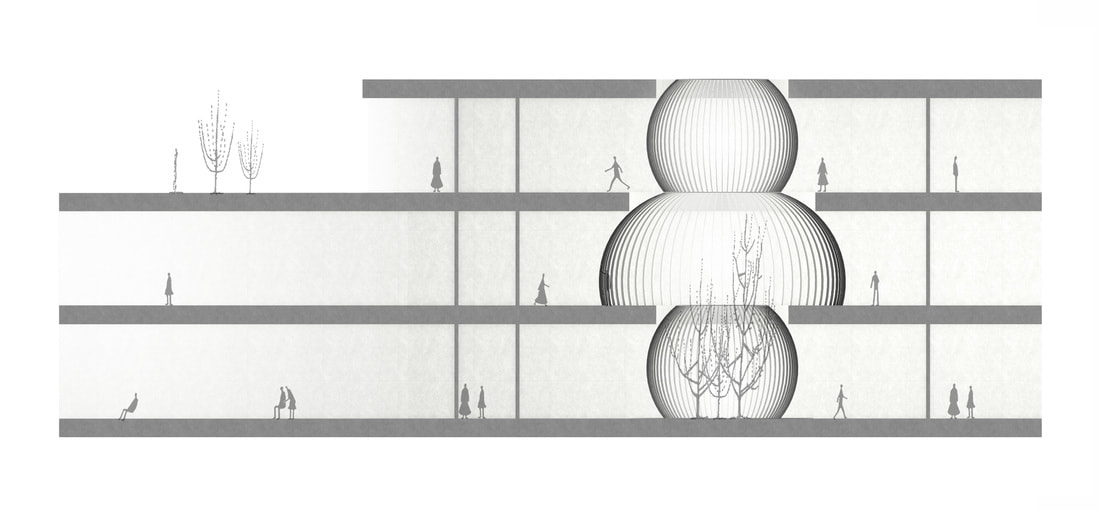 Architectural section showing domed voids for an atrium space with indoor trees.